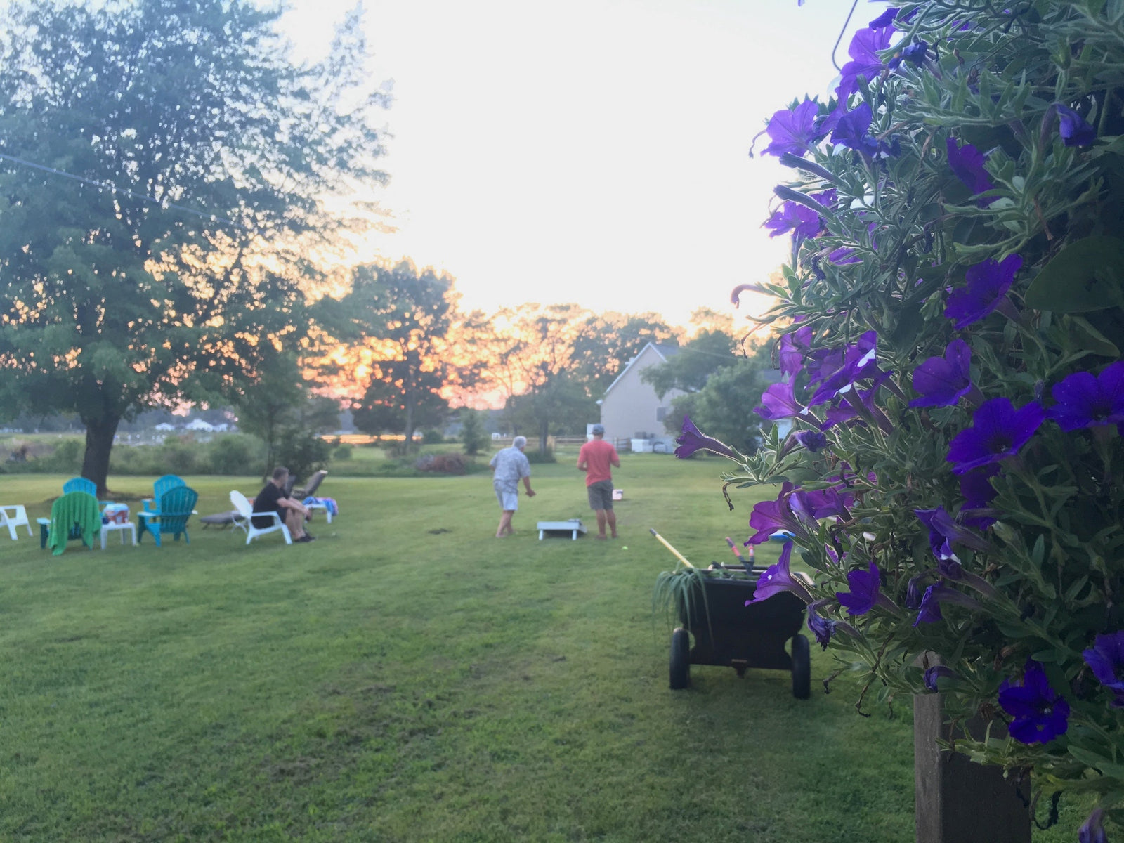 summertime green grass and fun with cornhole