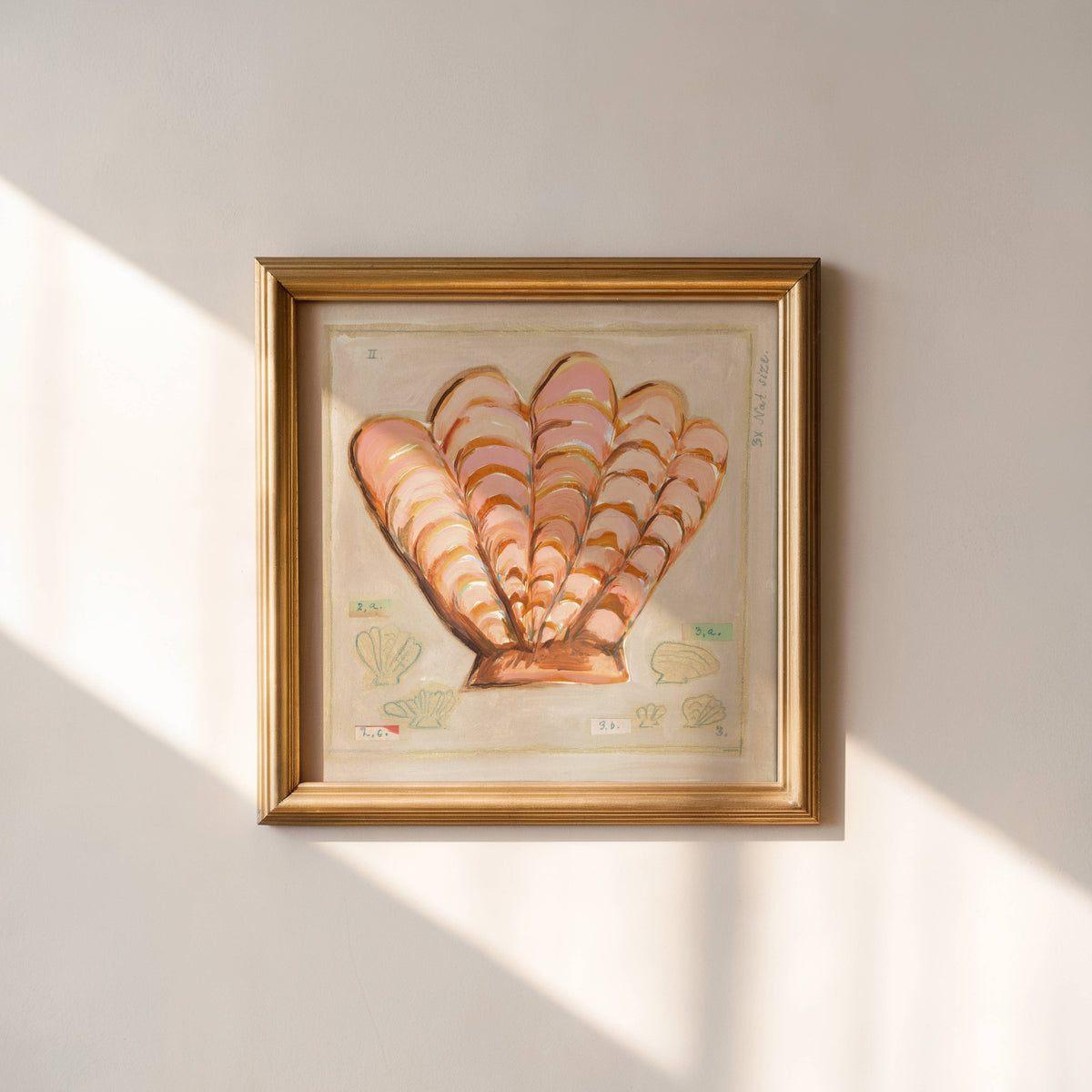 Pink Shell Art Print