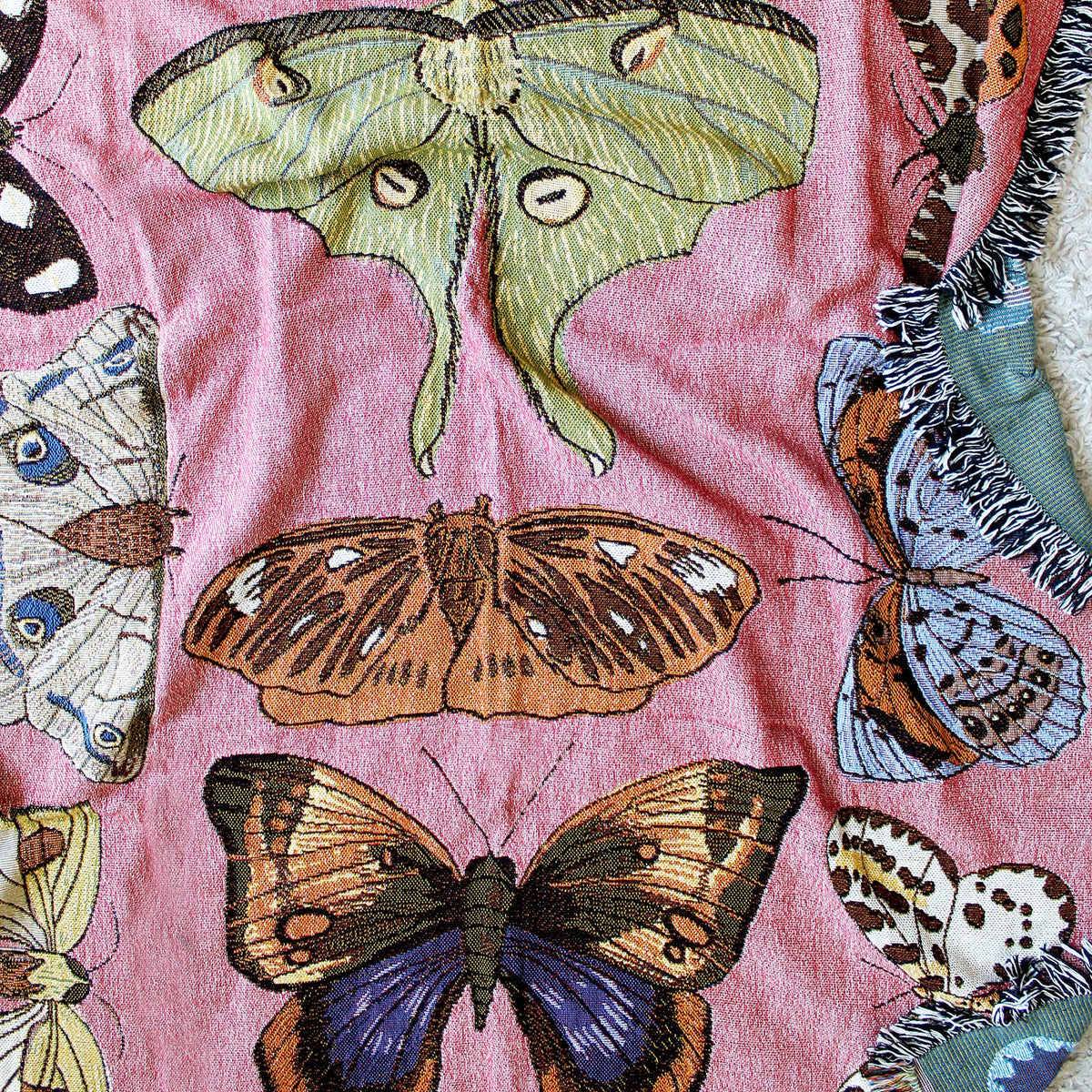 Moth Still Life Pink Tapestry Blanket