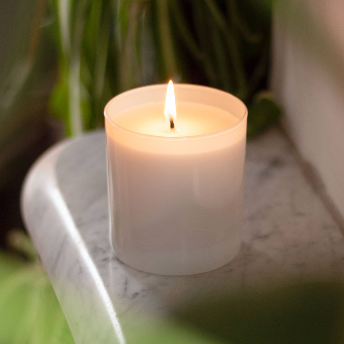 No Label 9 oz. White Candle with Bamboo Lid - Case of 24: FIGWOOD + CURRANT