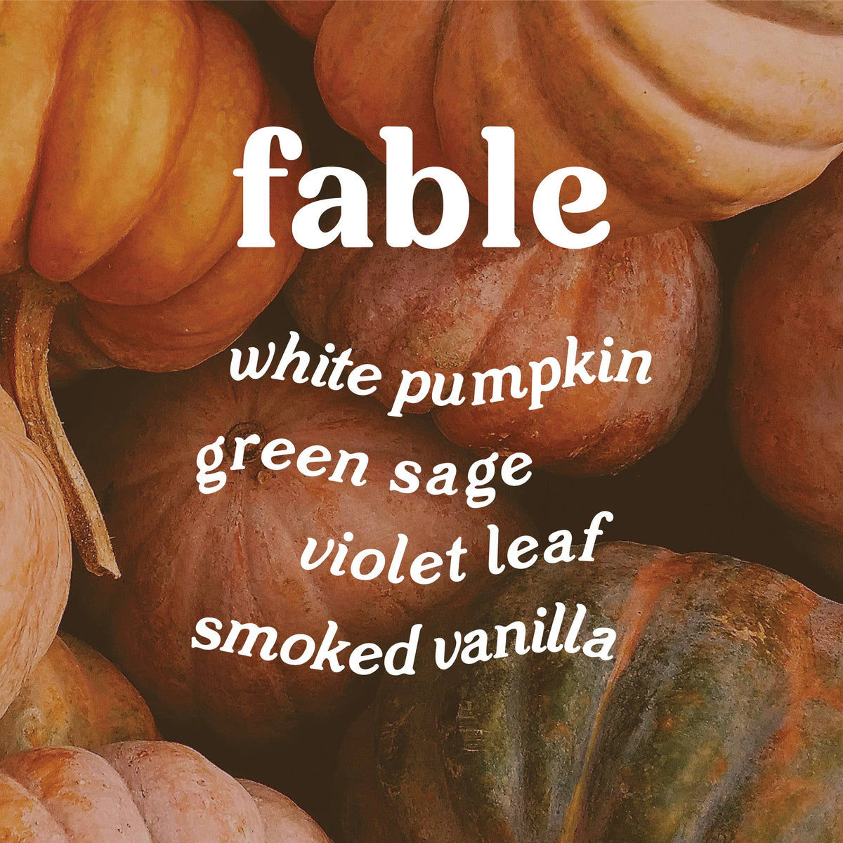 Fable Pumpkin Sage Reed Diffuser