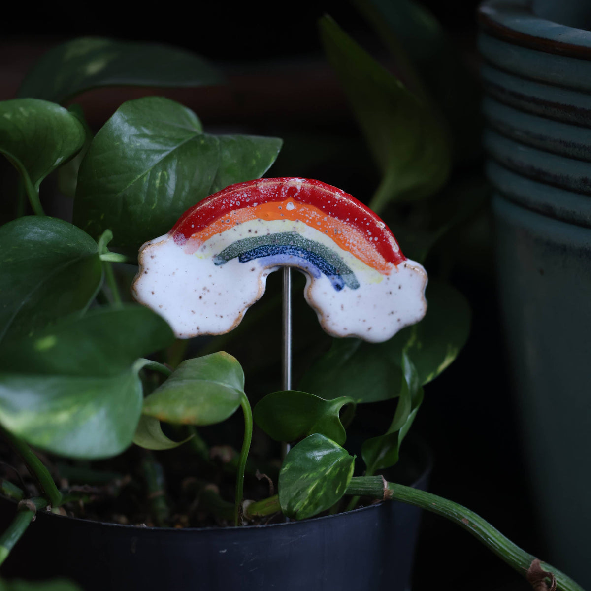Plant Buddies - Rainbow