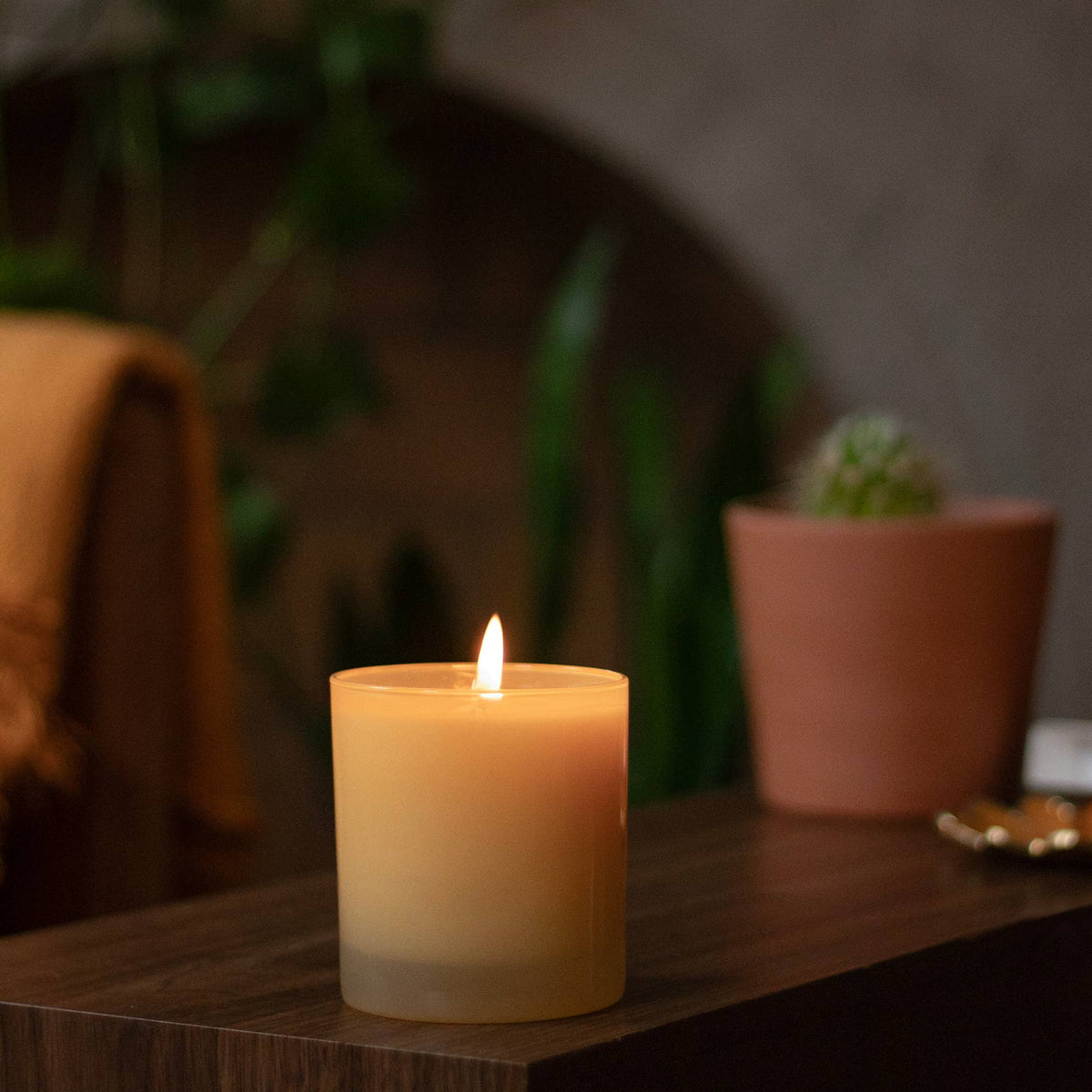 Golden Amber + Honeysuckle Candle (9 oz)