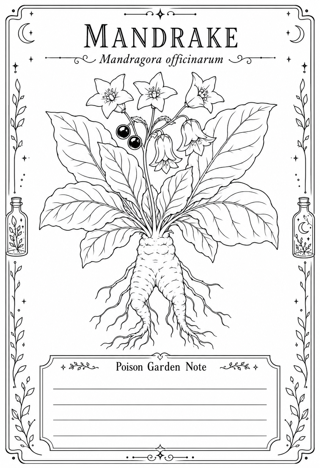 Mini Coloring Book – Poisonous Plants
