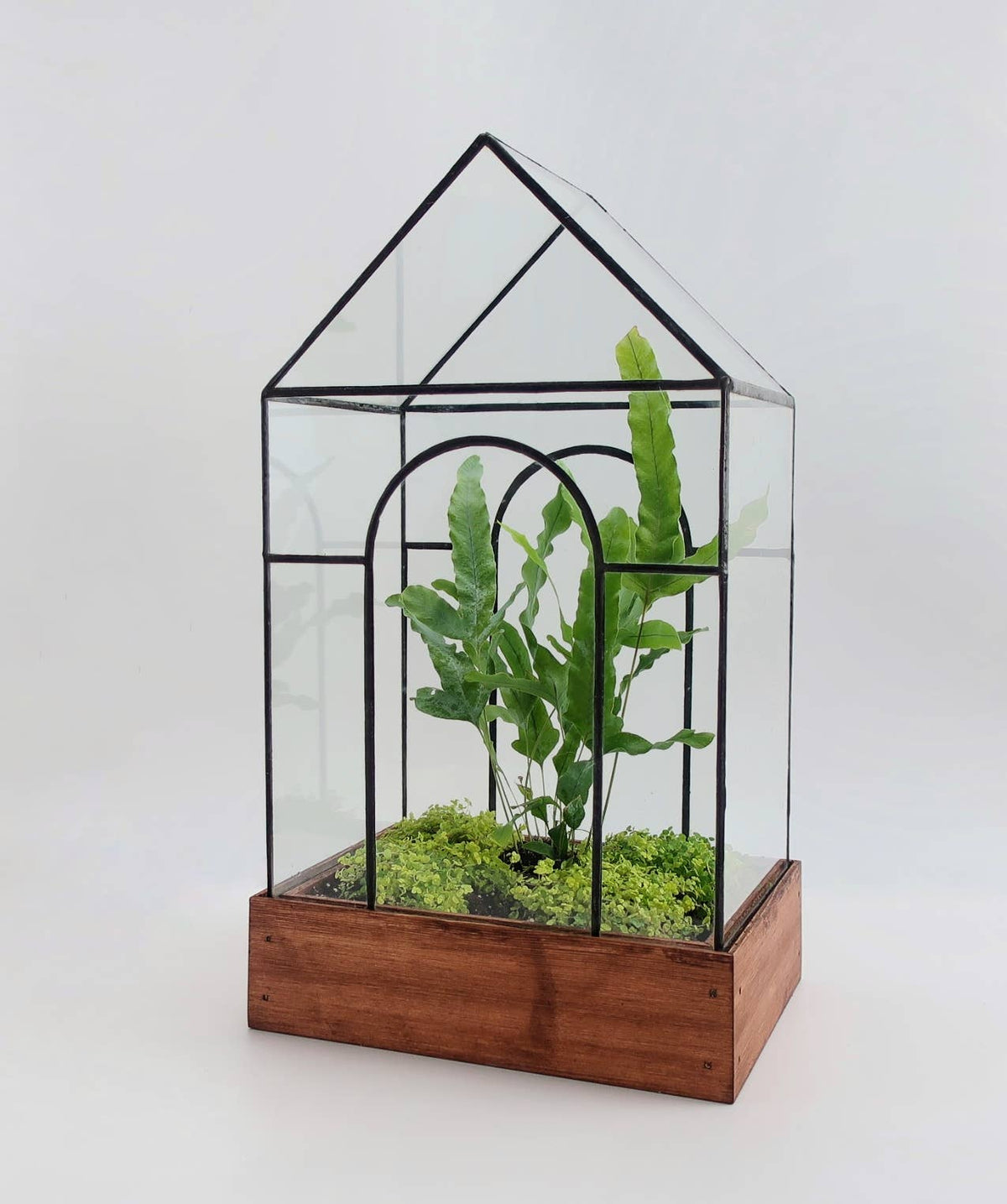 Handmade artisan temple terrarium with geometric glass and wooden base, unique eco-friendly gift. - Temple Terrarium