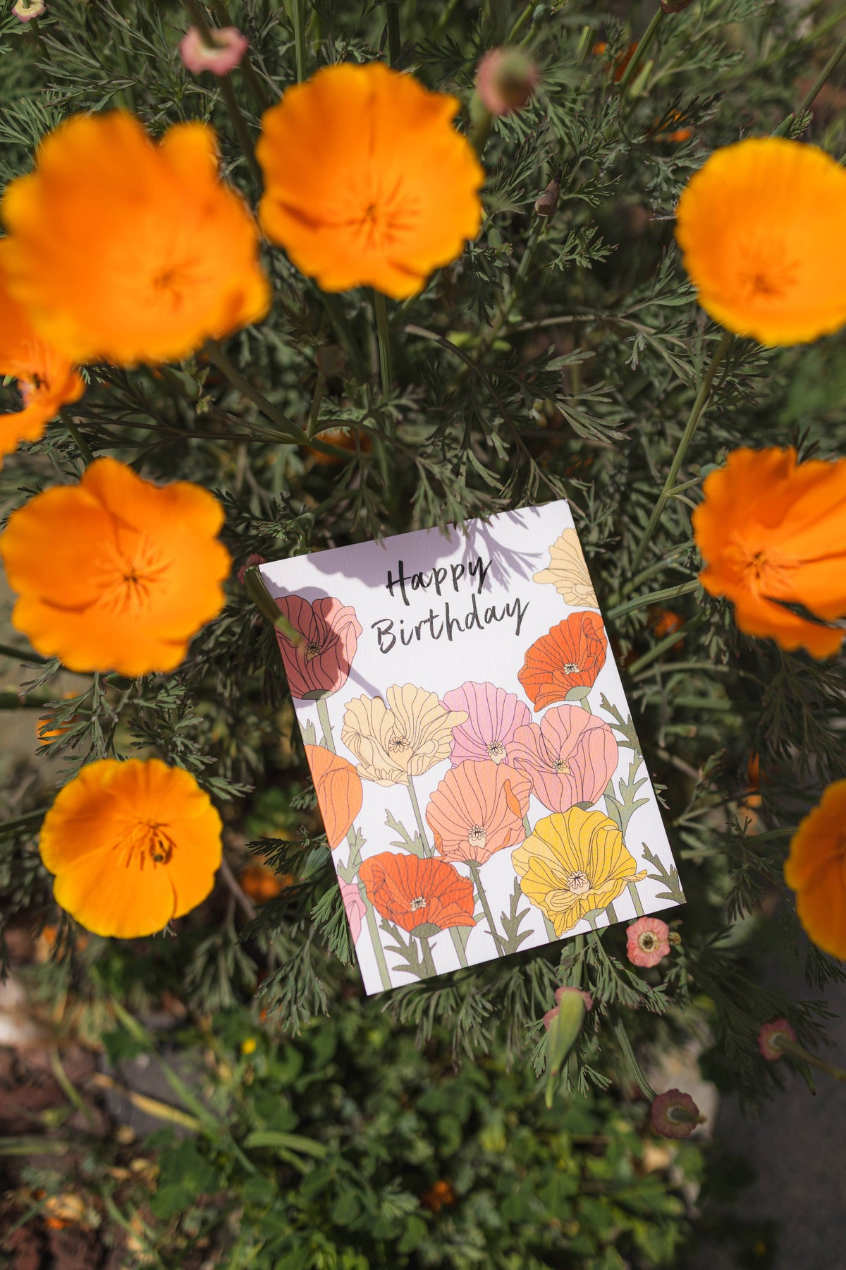 Birthday Poppies Card