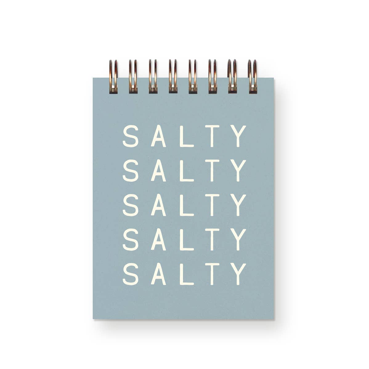 Salty Salty Mini Jotter Notebook