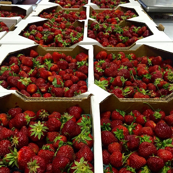 Strawberry & Pink Champagne Preserves