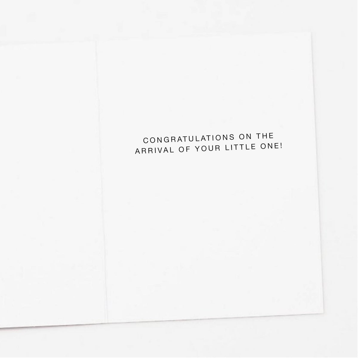 Stuffed Baby Animals New Baby Greeting Card