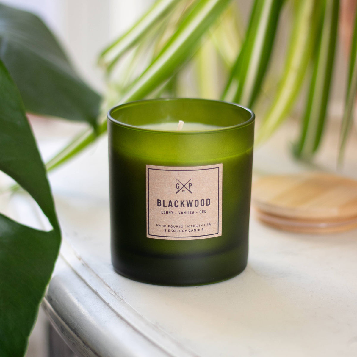 Blackwood Balsam + Feather Candle (8.5oz)