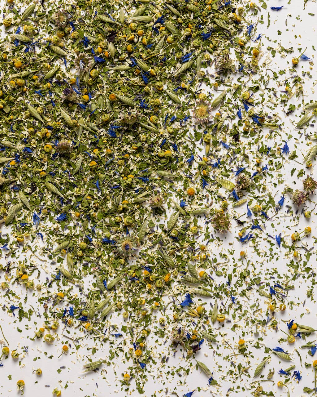 Stardust Tea - organic herbal tea for magical dreaming: Jar (25 g)