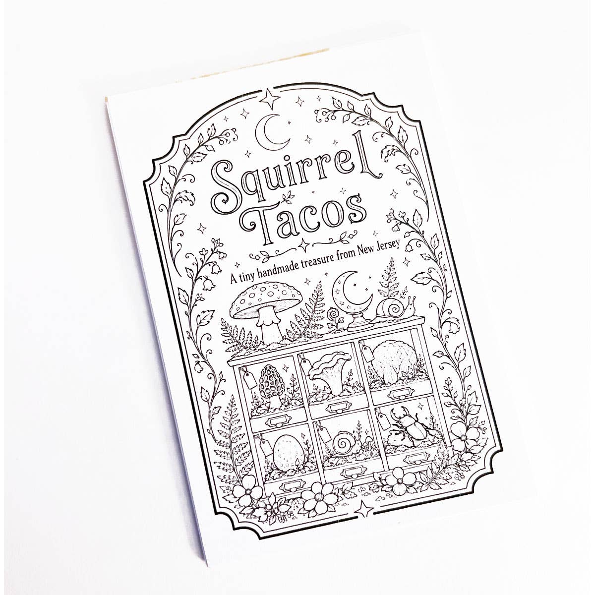 Mini Coloring Book – Mushroom Study