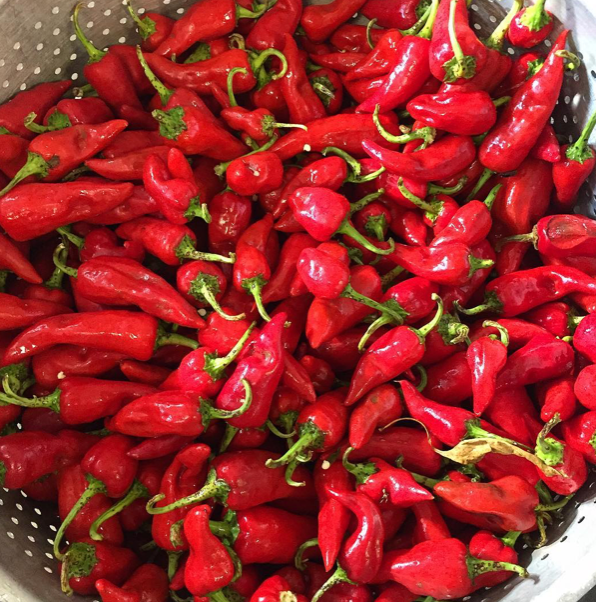 Red Hot Pepper Jam