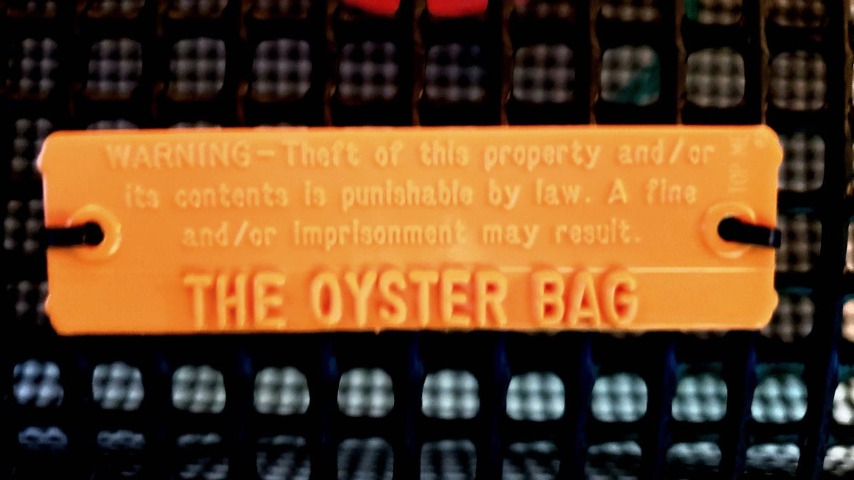 Jumbo Oyster Bag: Blue Handle