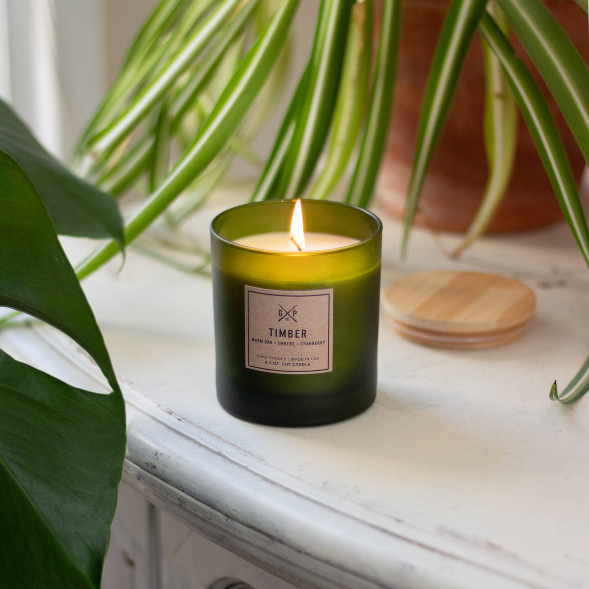 Timber Balsam + Feather Candle (8.5oz)