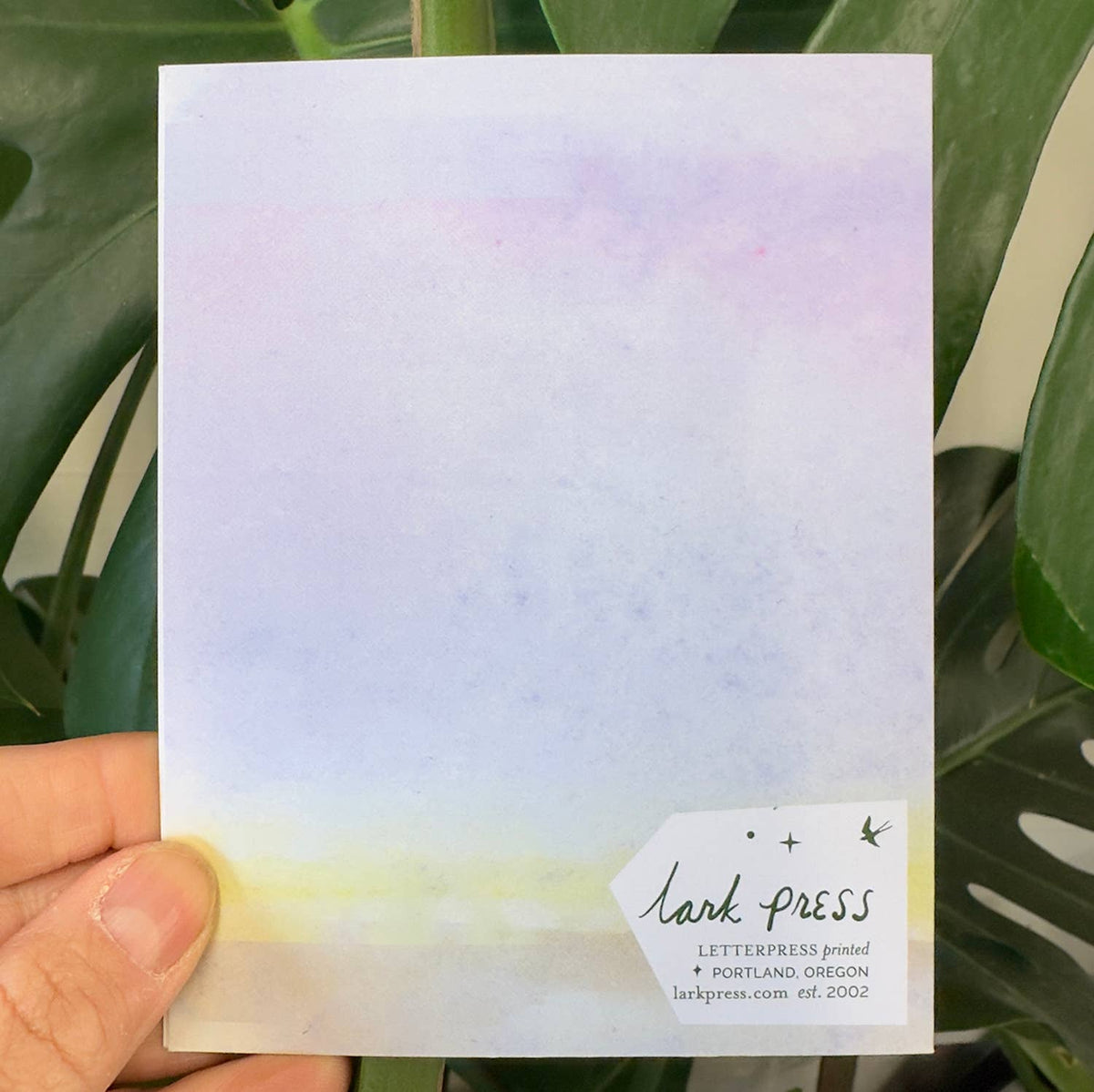 Wild Flowers Birthday Card