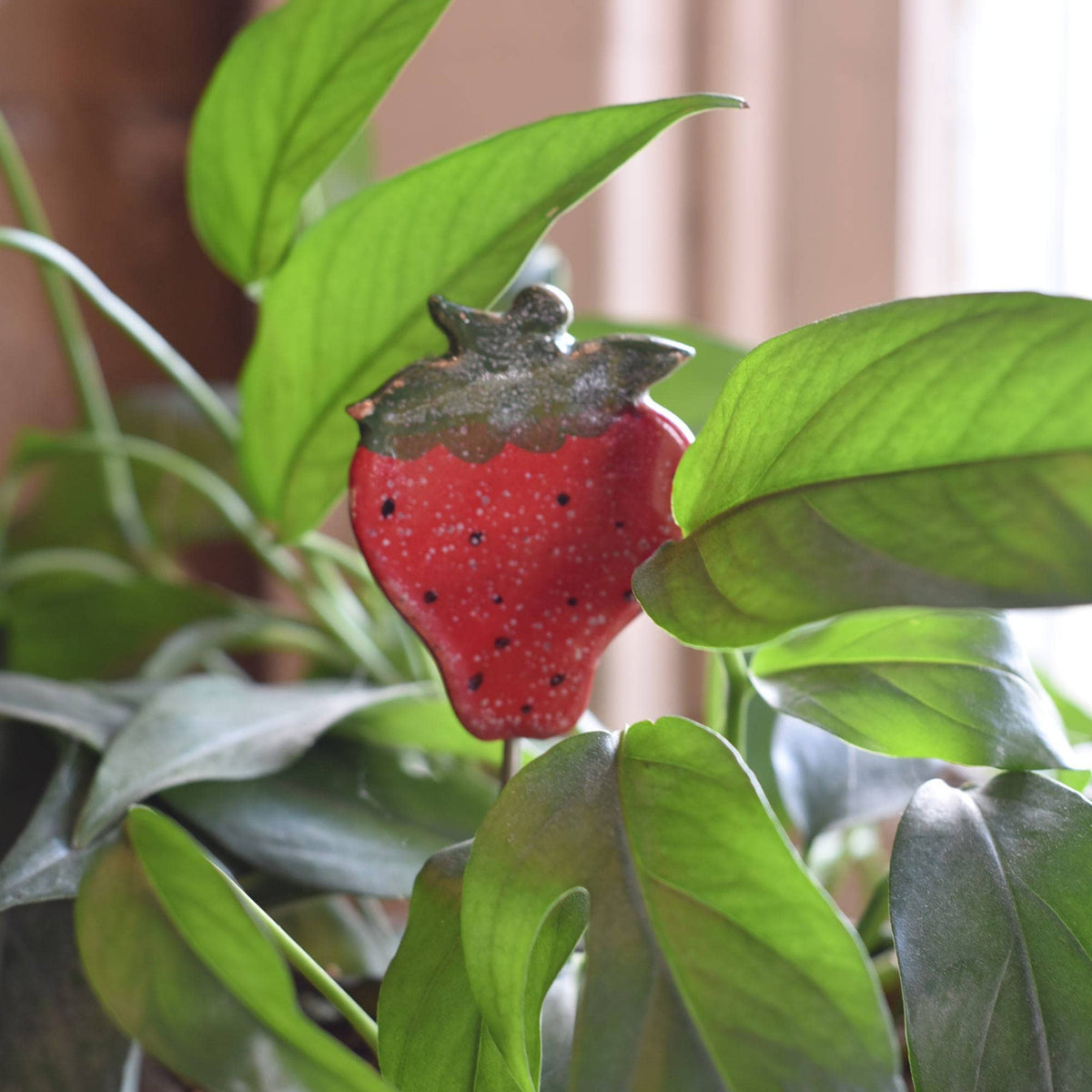 Plant Buddies - Strawberry