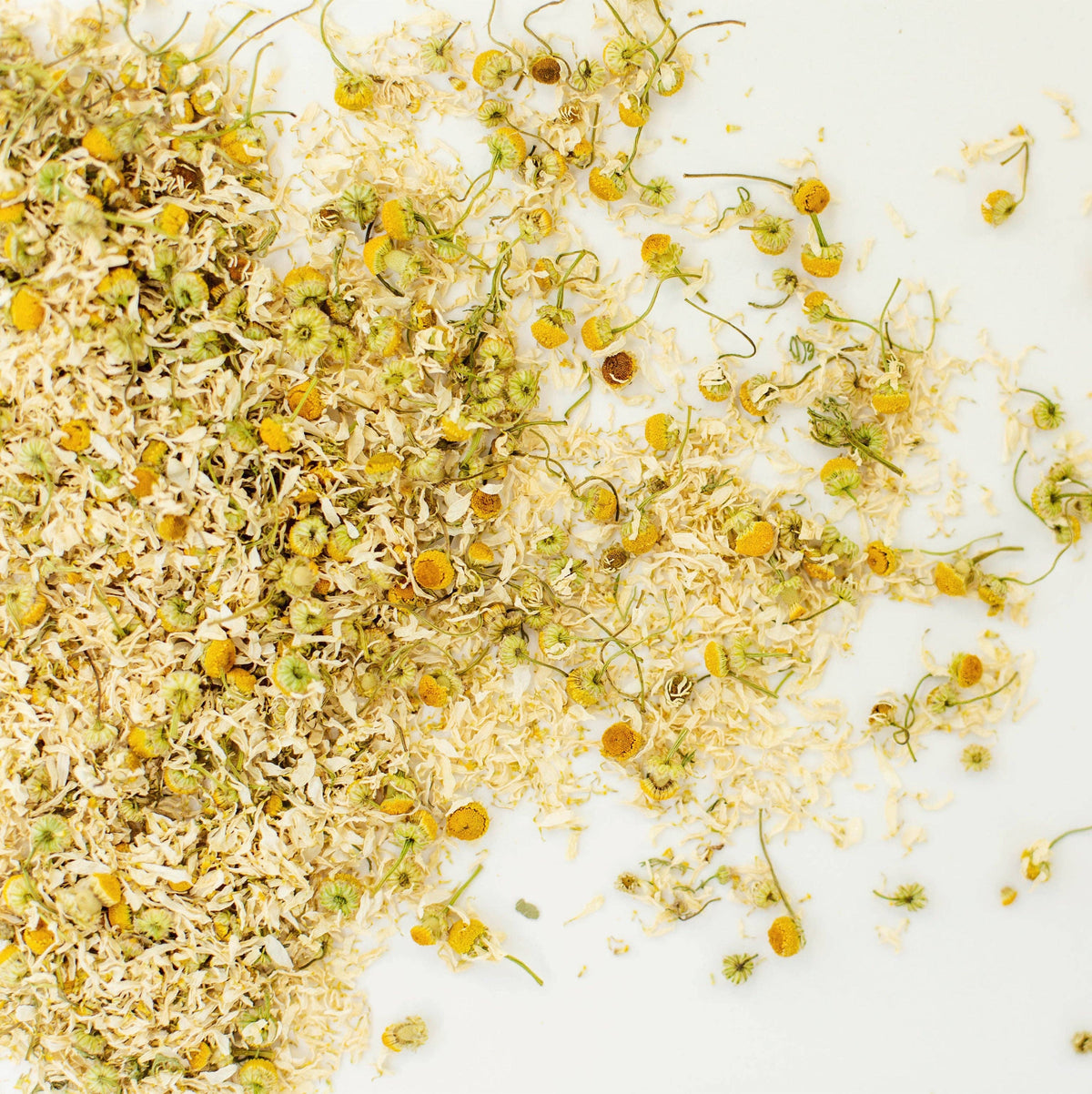 Chamomile Tea - Loose flower single herbal tea: Jar (25 g)