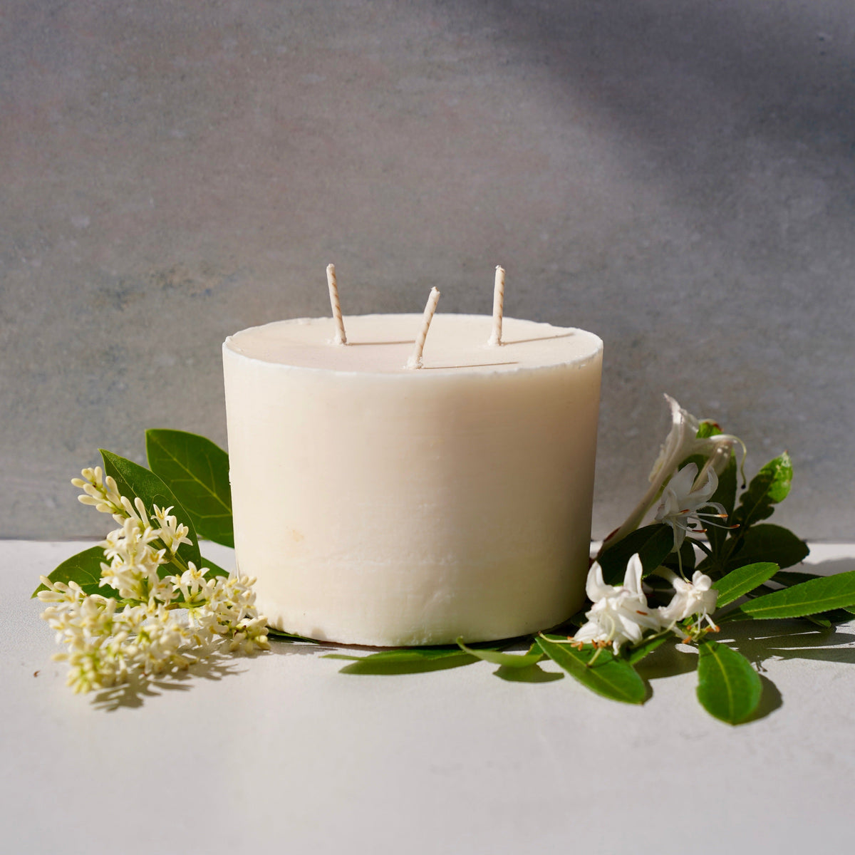 Medium Vessel Refill Candle