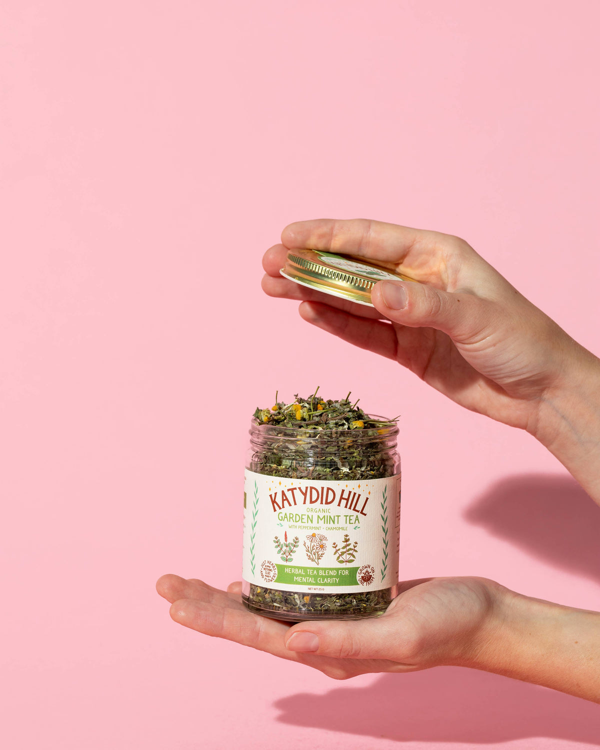 Garden Mint Tea - Herbal tea for mental clarity: Jar (25 g)