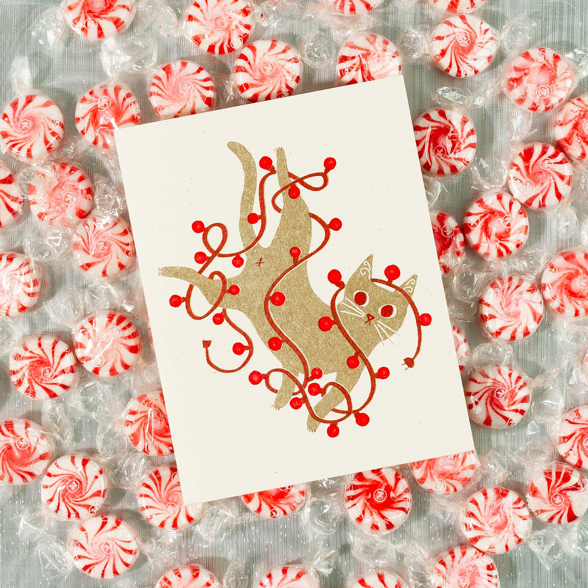 Tangled String Lights Cat - Risograph Card