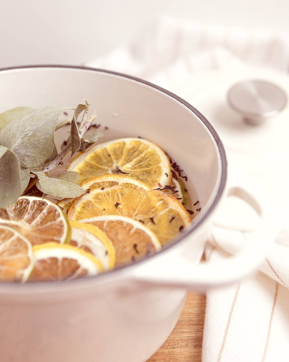 Stovetop Potpourri | Citrus Blend