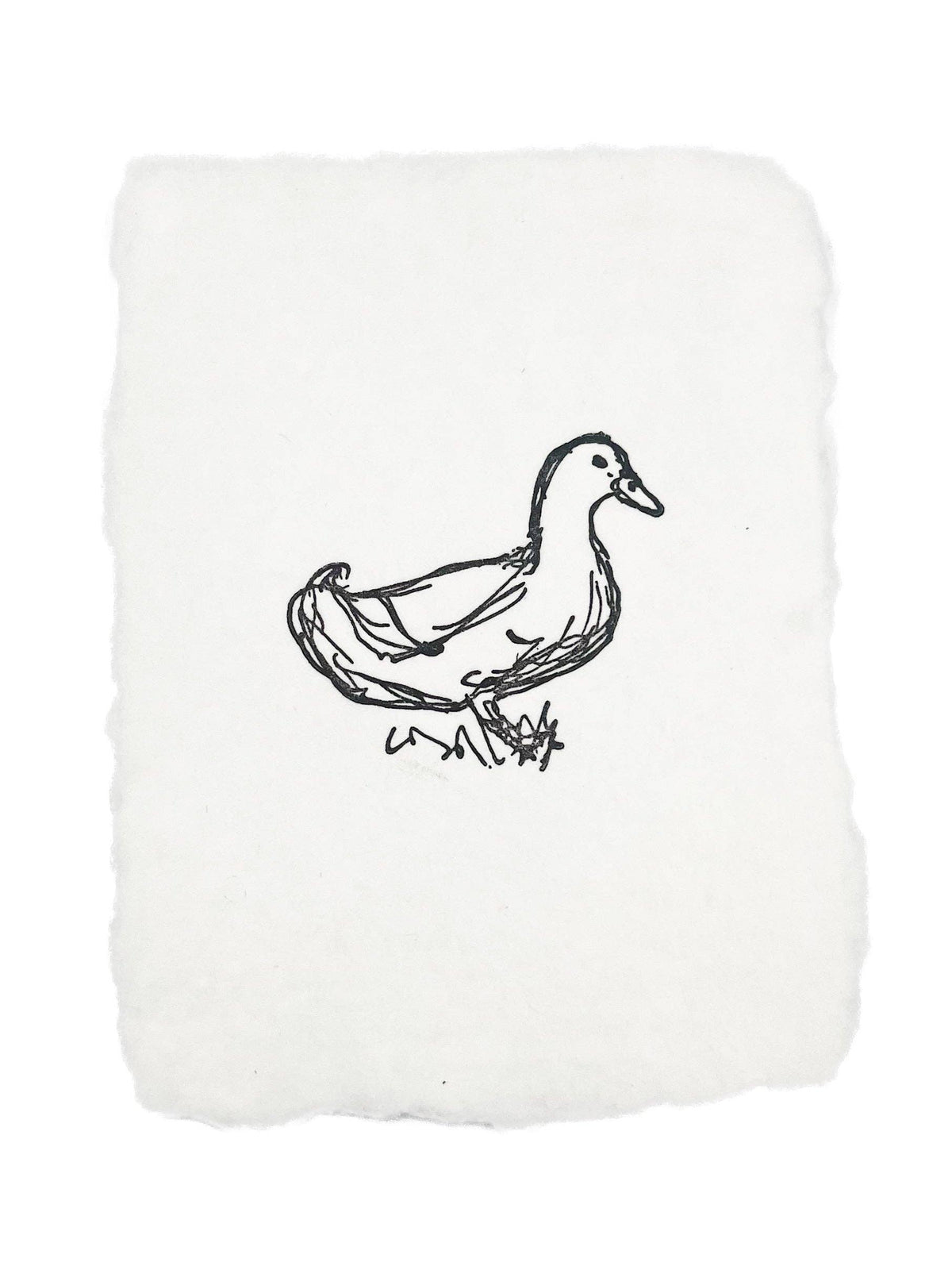 Duck sketch: Note Card / Single