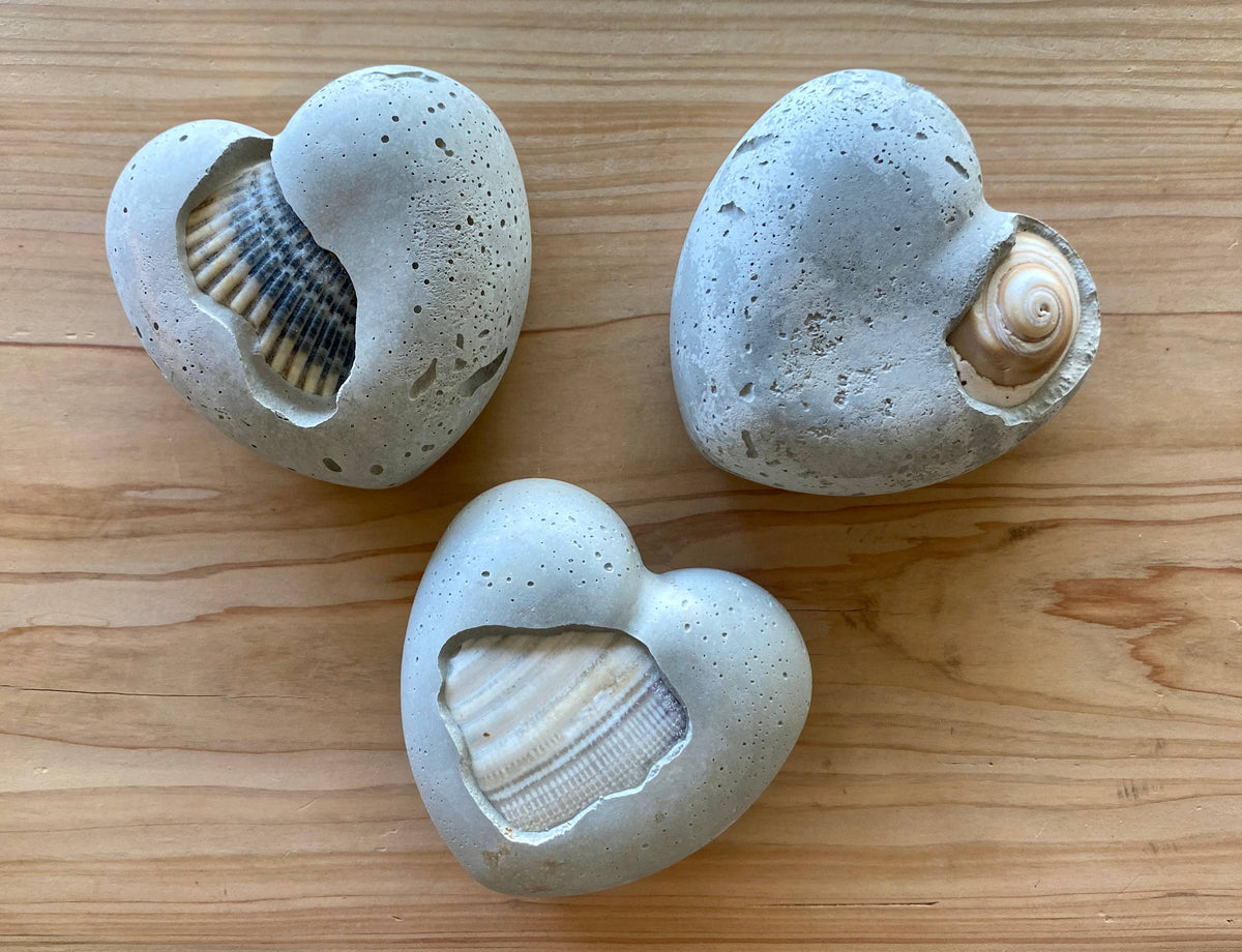 Sea Shell Concrete Hearts